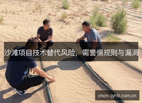 沙滩项目技术替代风险，需警惕规则与漏洞
